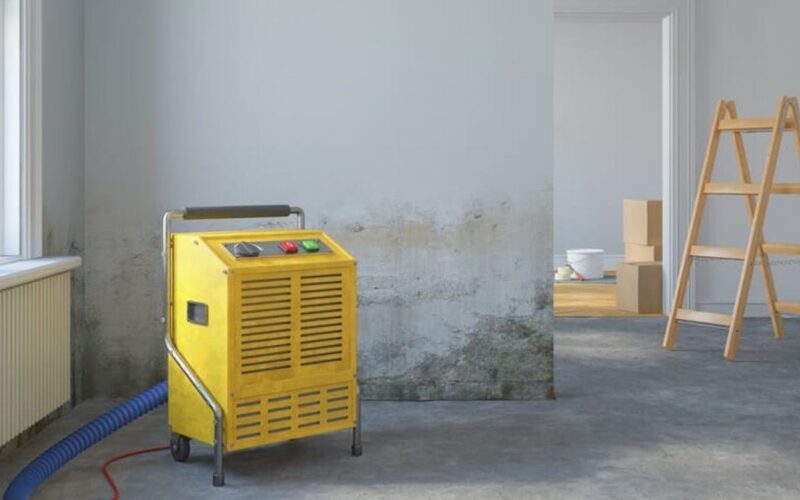 schimmel-entfernen-stuttgart