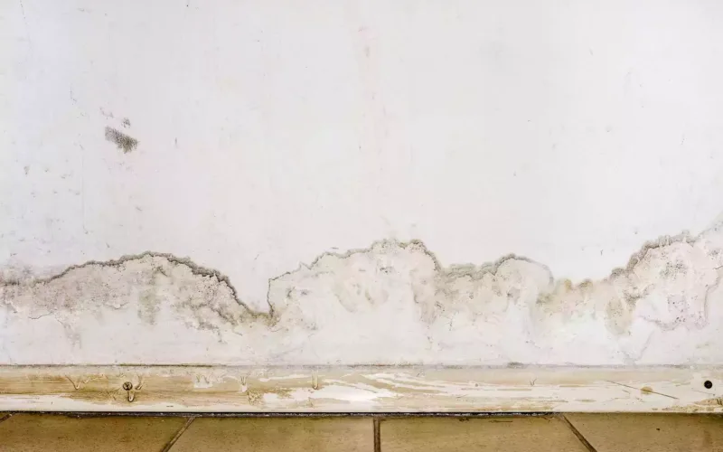 Wasserschaden Notdienst - Wand